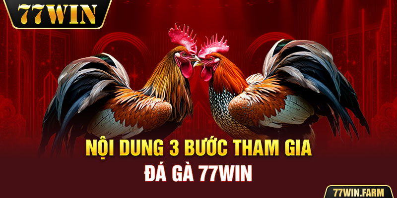 Nội dung 3 bước tham gia đá gà 77WIN