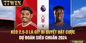 Kèo 2.5-3 Là Gì? Bí Quyết Đặt Cược, Dự Đoán Siêu Chuẩn 2024